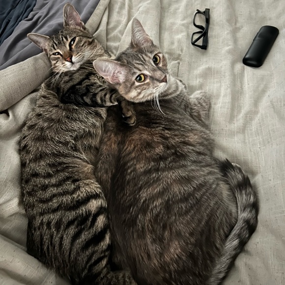 ✨🎀MEET YOUR BUYER/SELLER🎀✨ - Picture 4 of 5